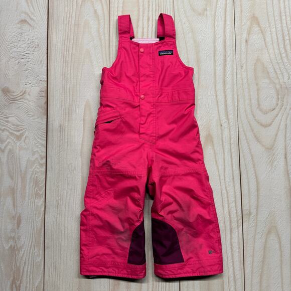Patagonia Other - Patagonia Baby Snow Pile Overall Bibs Kids Size 2T H2NO Ski Pants Pink